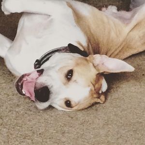 Meet your Posher, Heidi