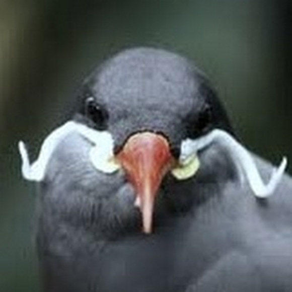 Meet your Posher, Ekaterina