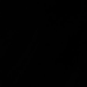 Meet your Posher, Tyrese