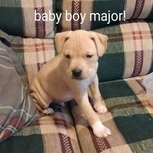 Meet your Posher, Jolene