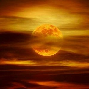 Meet your Posher, Mindy