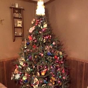 Meet your Posher, Ashlee