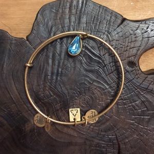 Alex and Ani Water Charm Bracelet