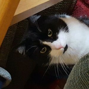 Meet your Posher, April