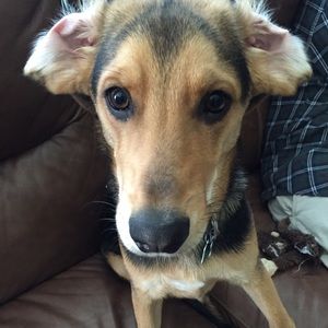 Meet your Posher, Hannah