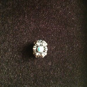 Pandora charm