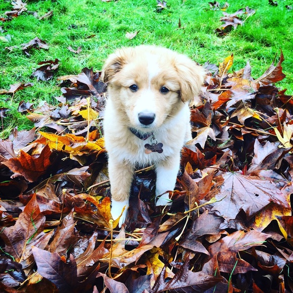 Meet your Posher, Cadence! - Picture 2 of 4