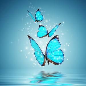 Meet your Posher, Jean