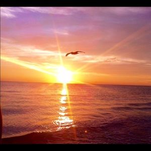 Meet your Posher, Gracey