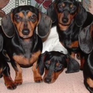 Meet your Posher, Carla