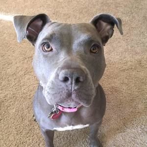 Meet your Posher, Alison