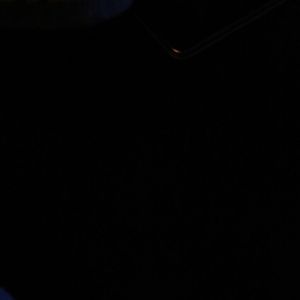 Meet your Posher, Daisy