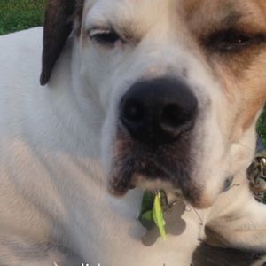 Meet your Posher, Gabby