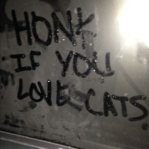 Meet your Posher, Bethany