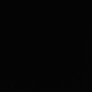 Meet your Posher, Disha