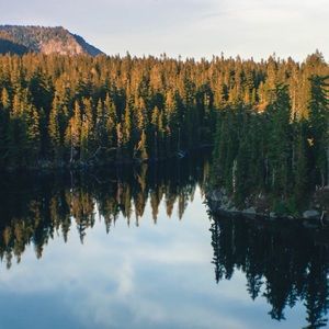 Meet your Posher, Amelia