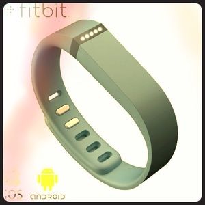 ☀️🏃🏽💪🏽MAKE AN OFFER FITBIT FLEX slate