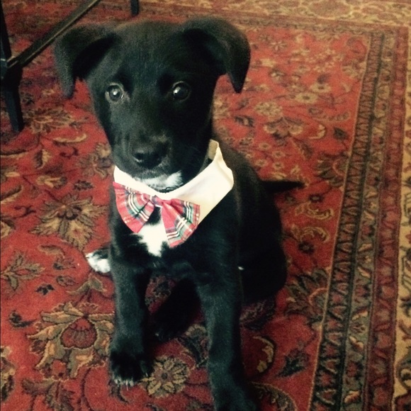 Meet your Posher, Kate