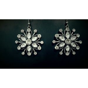 Winter beauty earings