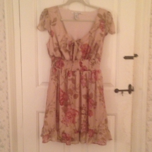 American Rag Dresses & Skirts - American Rag CIE 0X Neutral Roses Dress, GORGEOUS!