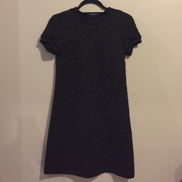 Zara Textured Short Sleeve Dress Size XS | NWT