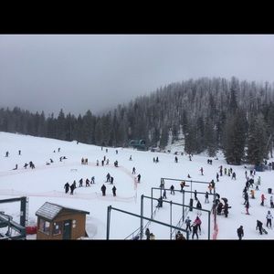 Meet your Posher, Dimitri