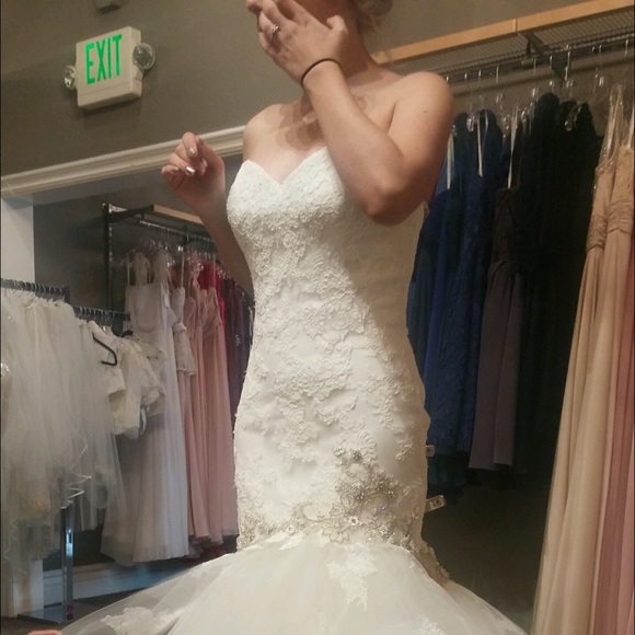 Meet the posher - Picture 2 of 3