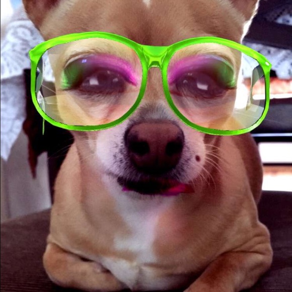 Meet the posher - Picture 3 of 3