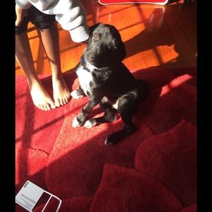 Meet your Posher, Ella-mai