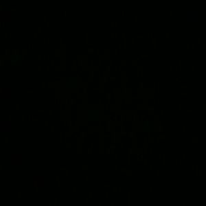 Meet your Posher, Hector