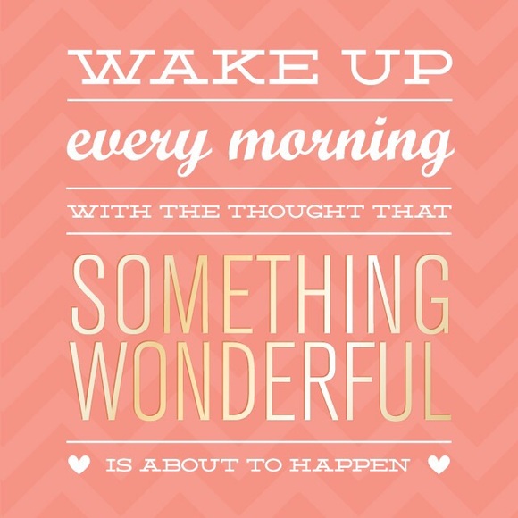 Meet your Posher, Nikki - Picture 3 of 3