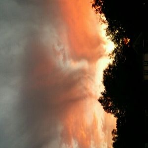 Meet your Posher, Liza