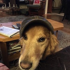 Meet your Posher, Jane