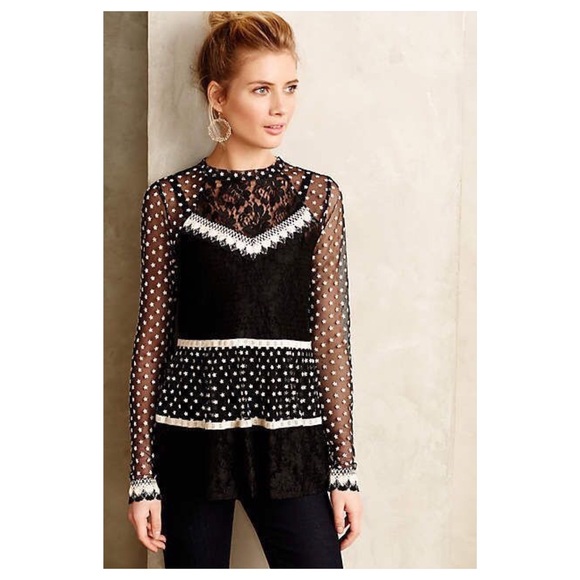 ⭐️Wish List⭐️ Anthro Embroidered Mesh Turtleneck
