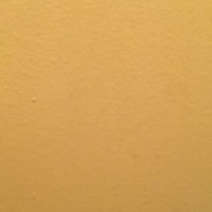 Meet your Posher, Bob