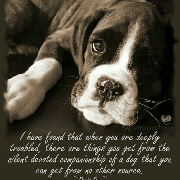 Meet Your Posher - Picture 1 of 1