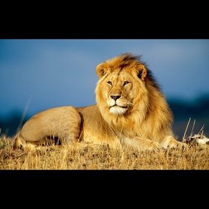 Meet your Posher, Joe