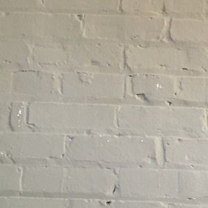 Meet your Posher, Jodie