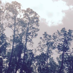 Meet your Posher, Kassidy