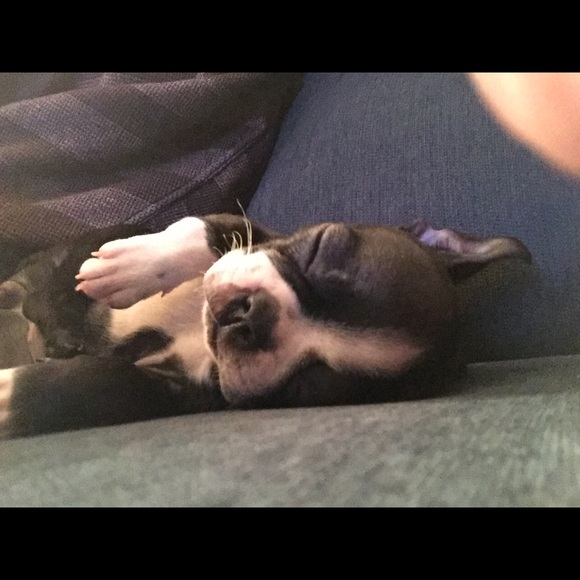 Meet your Posher, Pamela