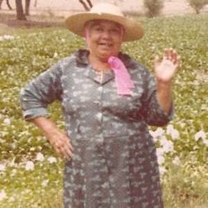 Meet your Posher, Berenice