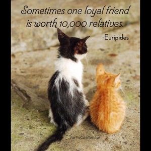 Meet your Posher, Mike