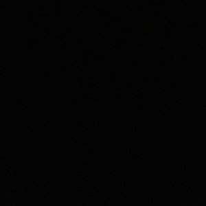 Meet your Posher, Leonna