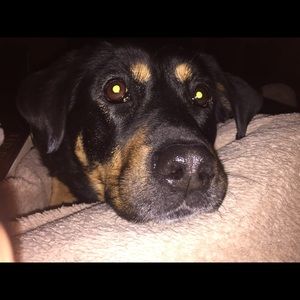 Meet your Posher, Sara