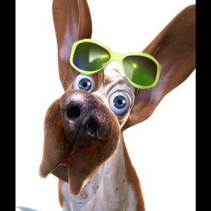 Meet your Posher, Hope