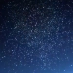 Meet your Posher, Jazmin