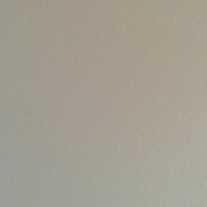 Meet your Posher, Alisa