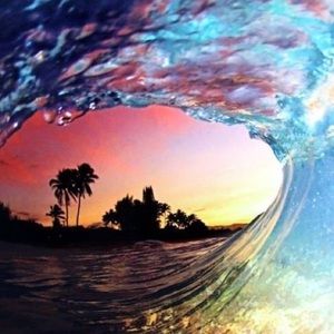 Meet your Posher, Martha