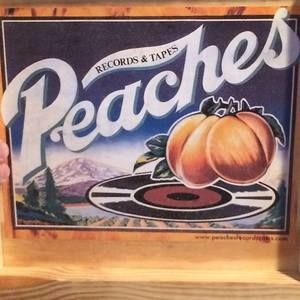 Meet your Posher, Ann