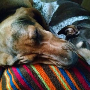 Meet your Posher, Sara